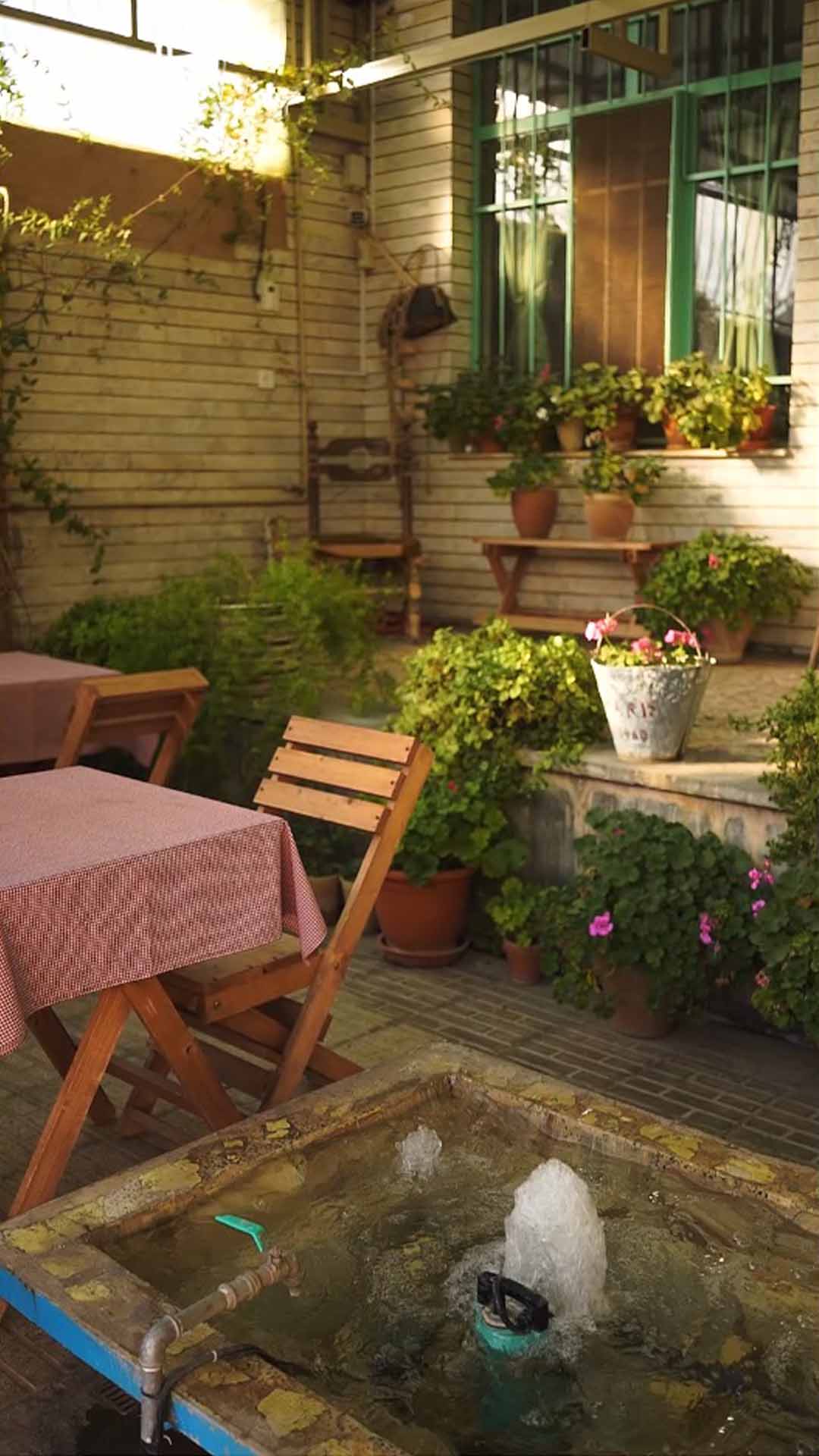 گوشه ای سبز از آموزشگاه همایون